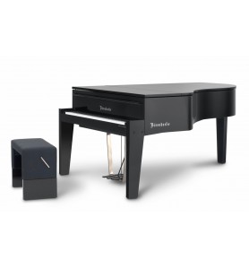 Photo Bösendorfer Edge